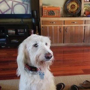 Meet your Posher, Sherry